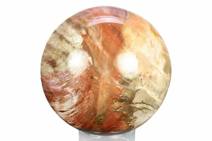 Colorful Petrified Wood (Araucaria) Sphere - Madagascar #245540